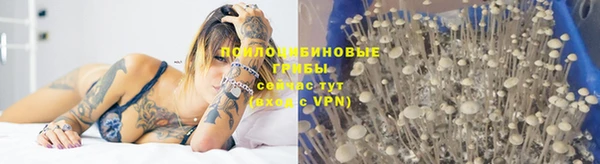 герыч Балахна