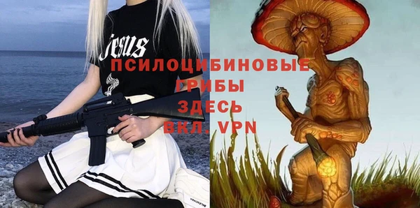 метамфетамин Белокуриха